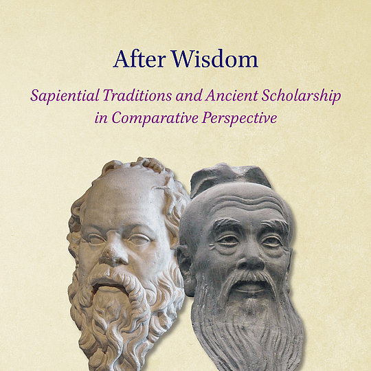 Cover of "After Wisdom".